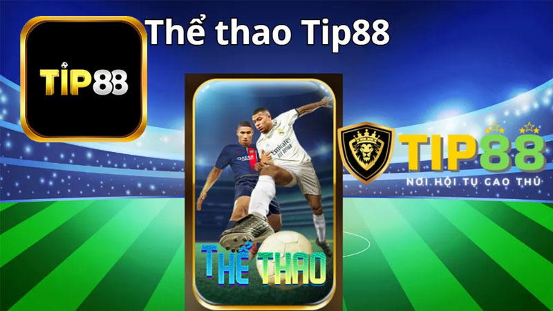 Khám phá sảnh cược thể thao