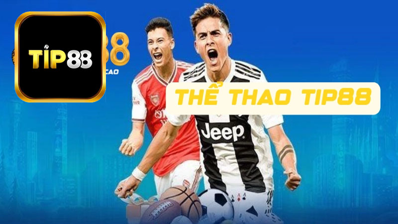 Các loại hình cá cược phổ biến tại thể thao Tip88