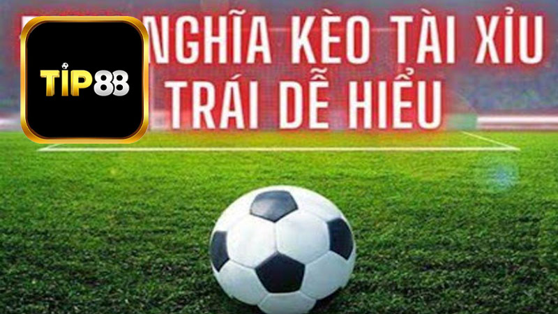 Tài xỉu 2 trái là gì?