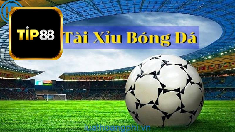 Chiến thuật và kinh nghiệm chơi tài xỉu 1 trái